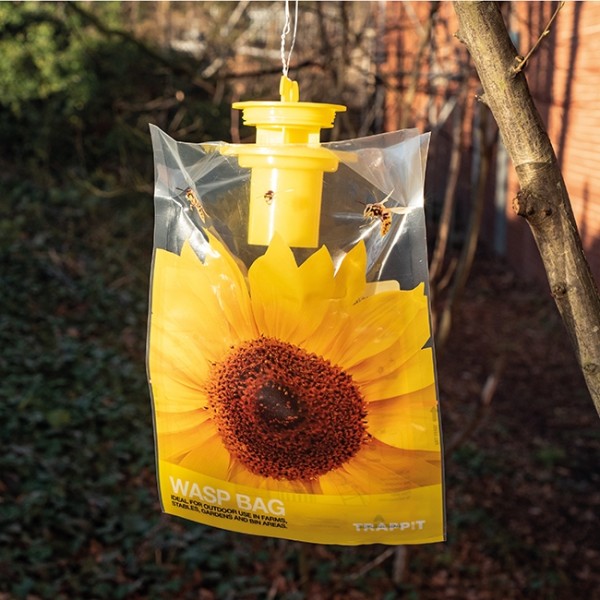 Trappit Wasp Bag Disposable Wasp Traps